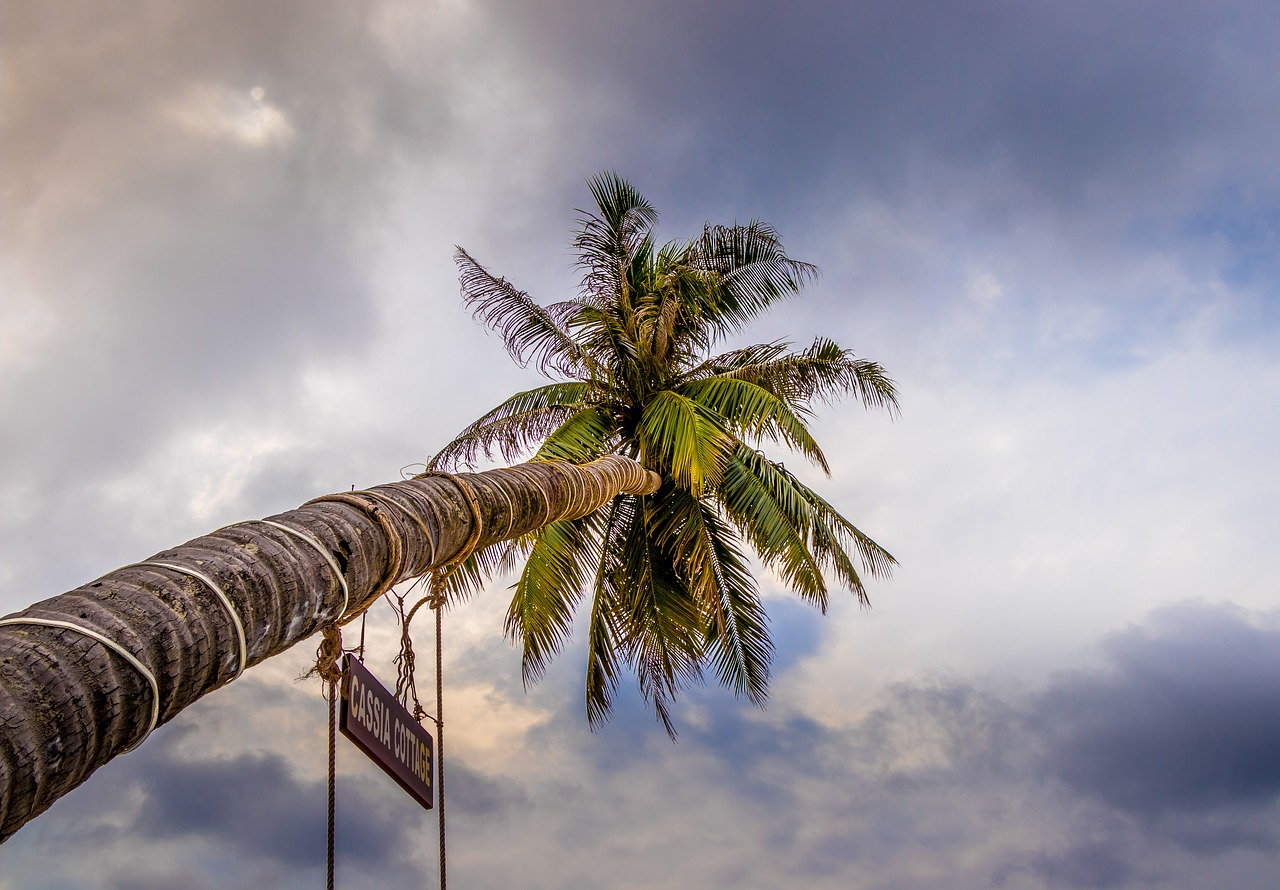 vietnam  beach  sky free photo