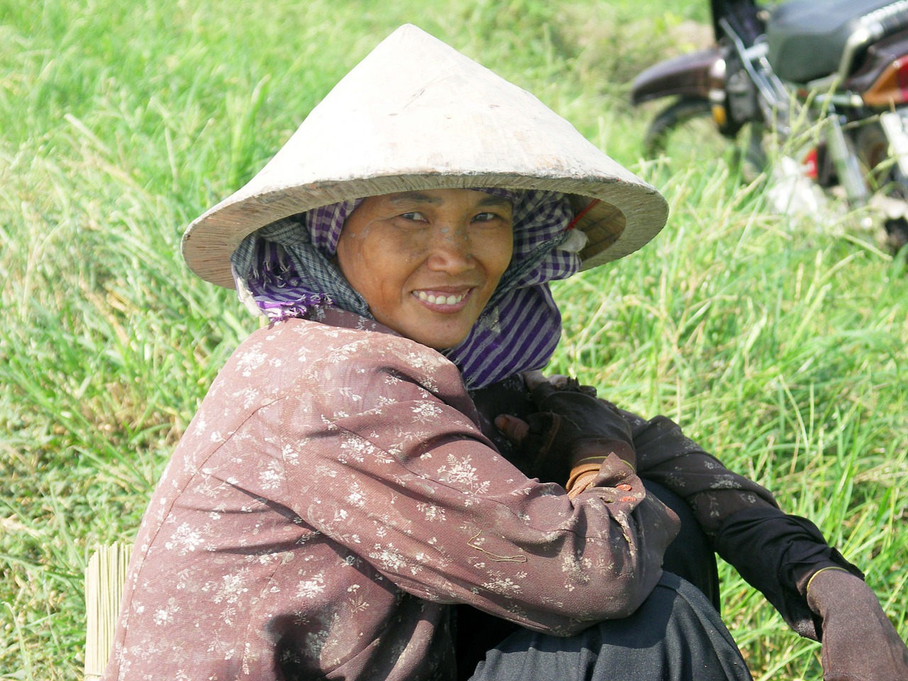 vietnam woman paddy free photo