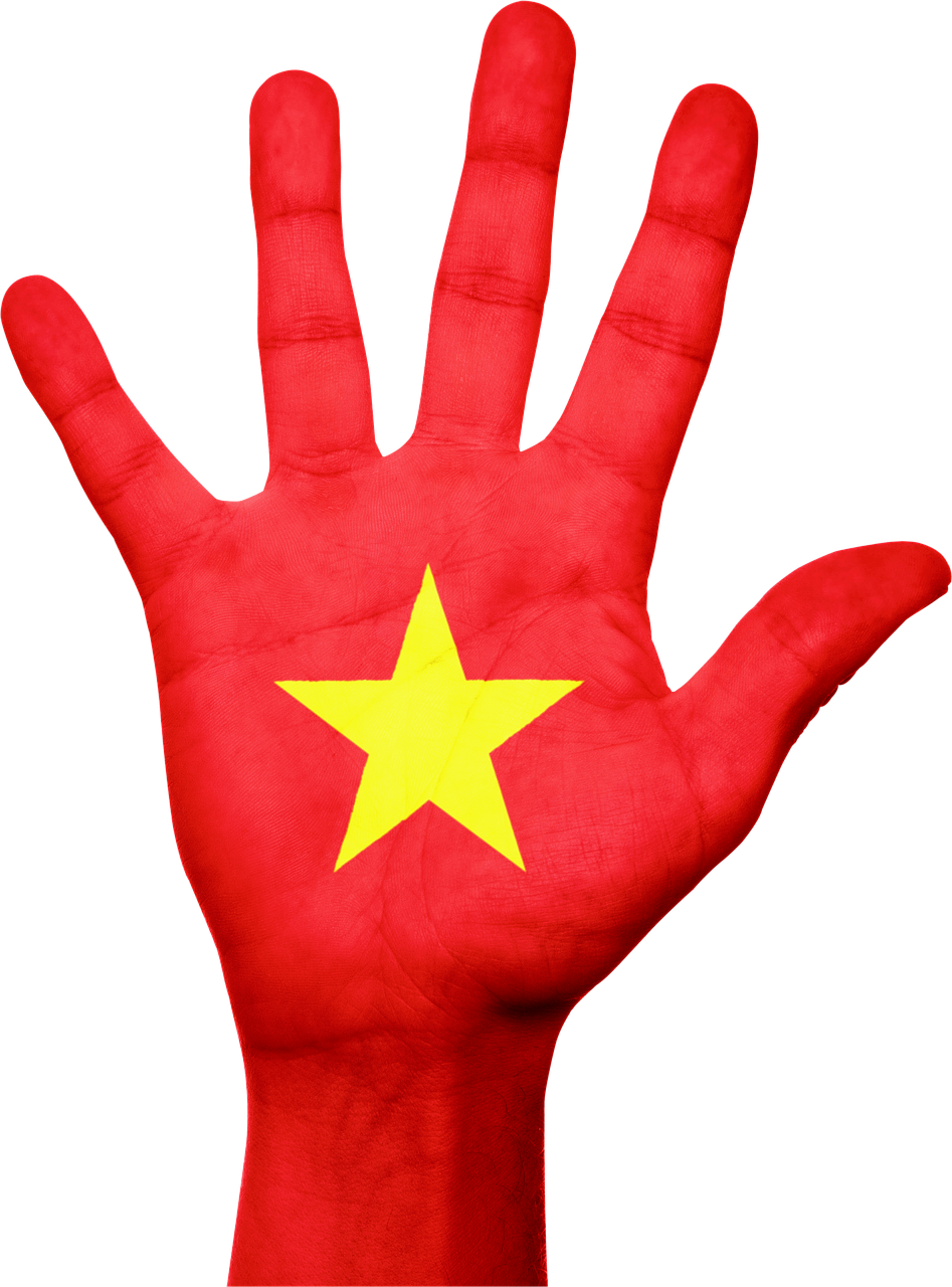 vietnam flag hand free photo