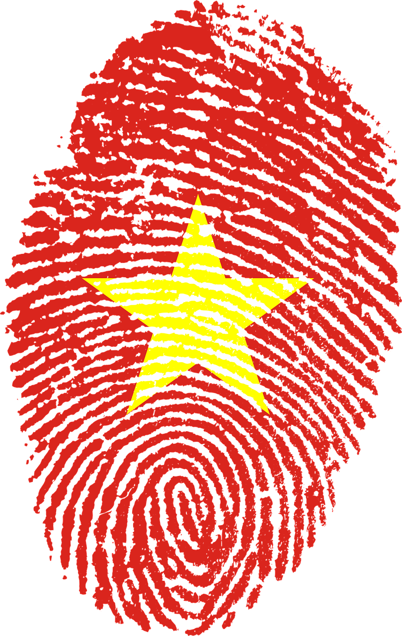 vietnam flag fingerprint free photo