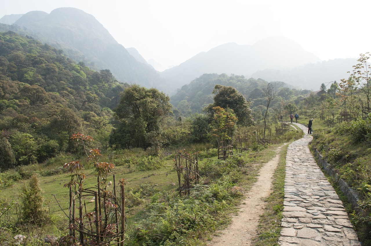 vietnam trail nature free photo