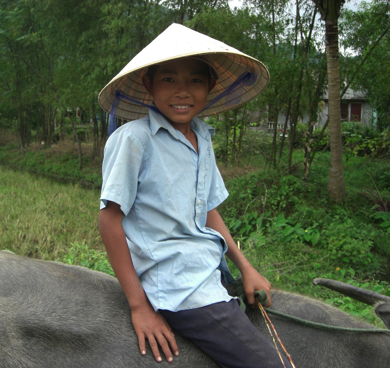 vietnam boy smiling free photo