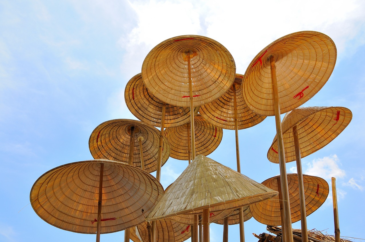 vietnam conical hat  sky  summer free photo