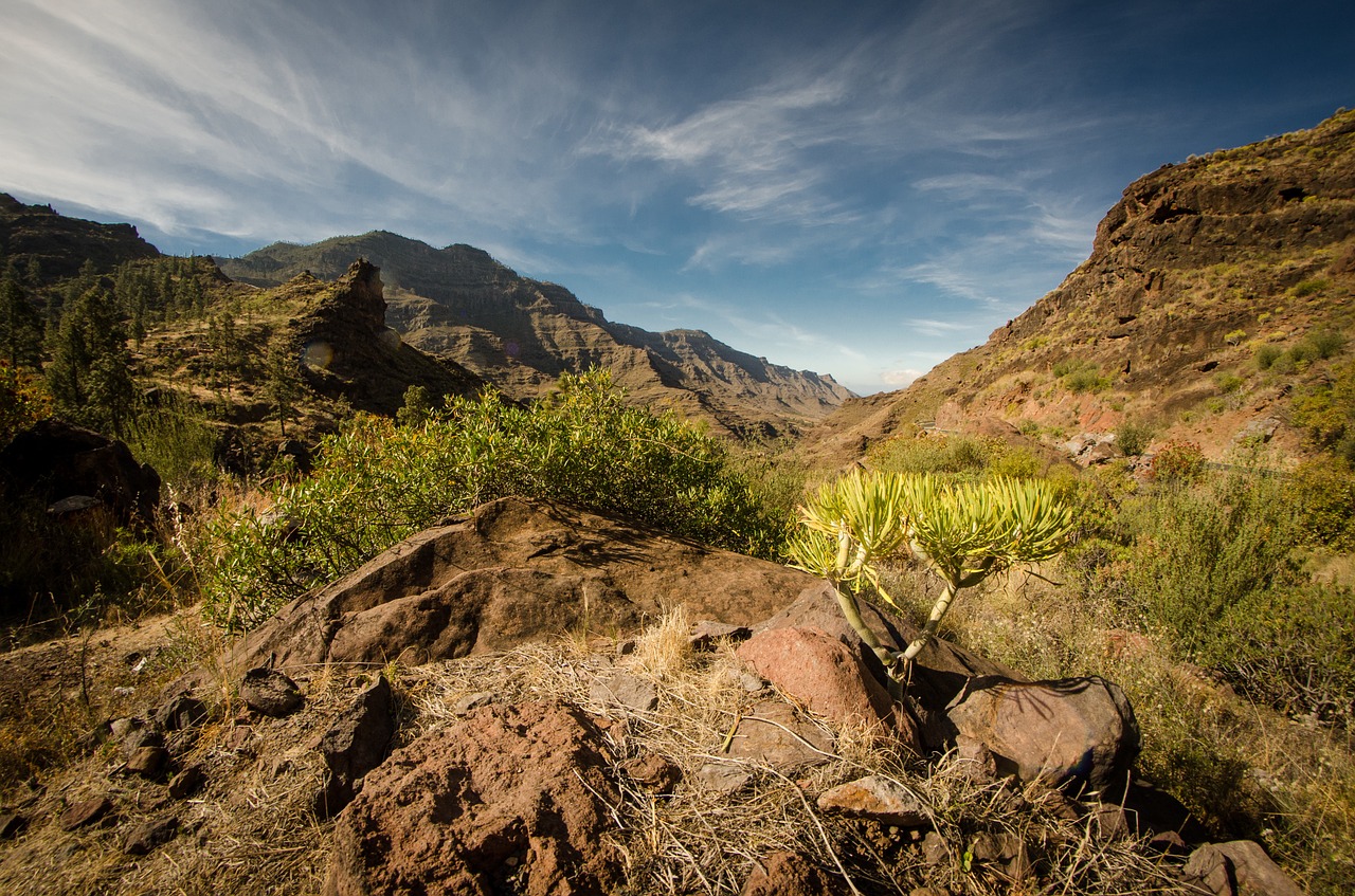 bush mountains nature free photo