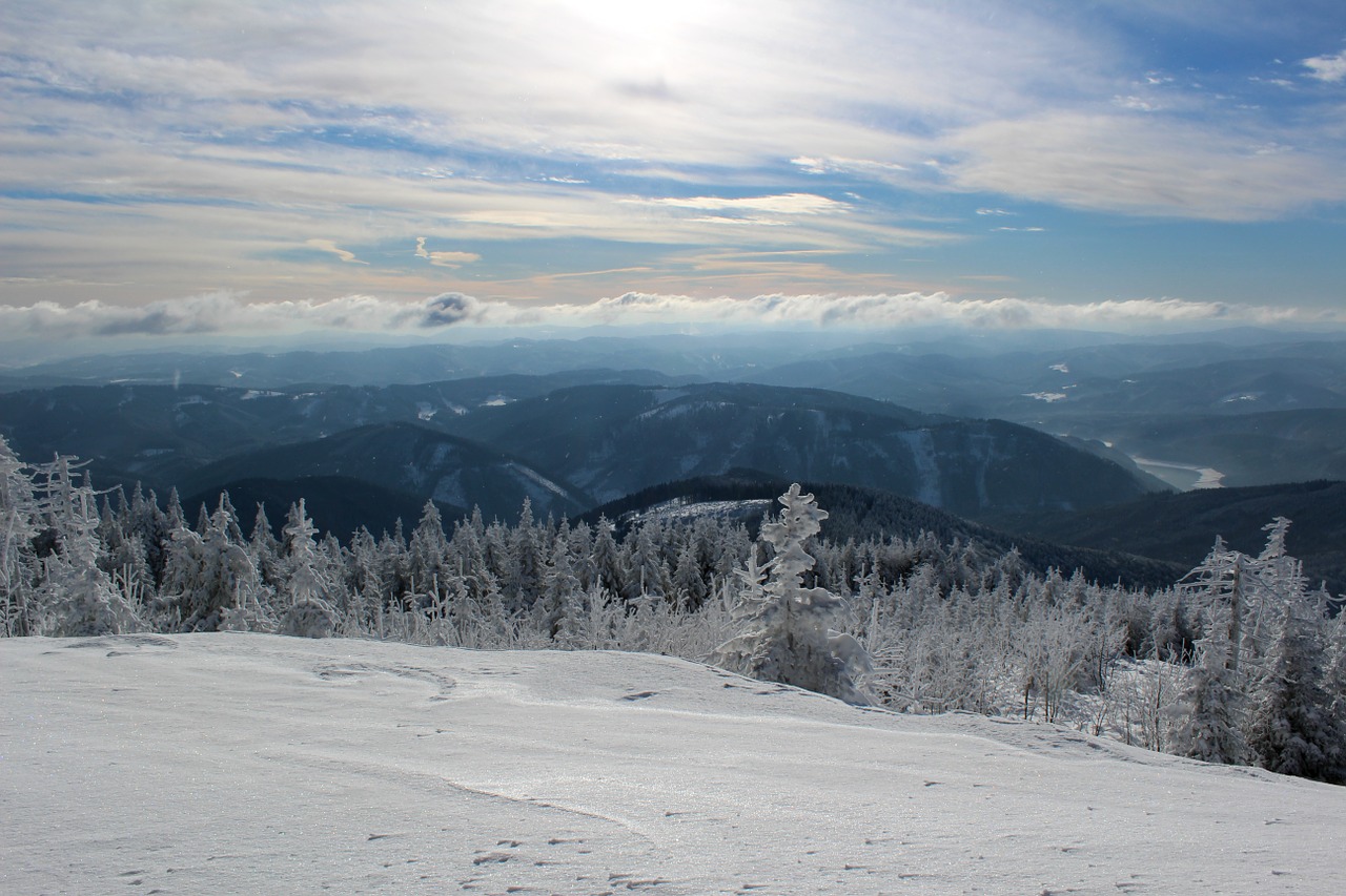 winter snow frost free photo