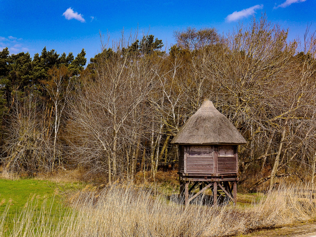 view bodden baltic sea free photo