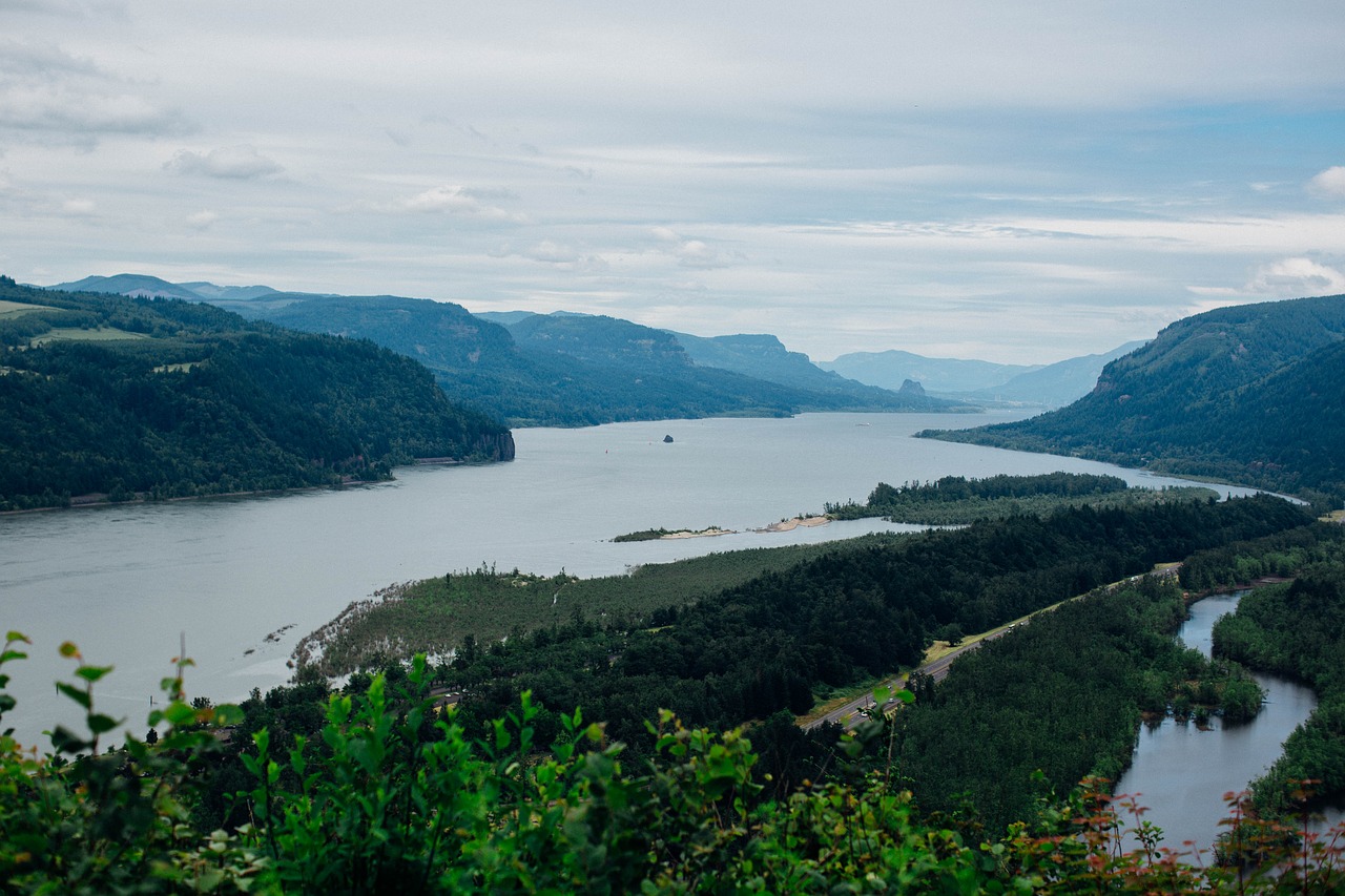 view skyline river free photo