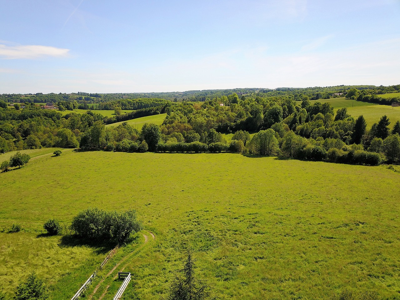 view landscape forest free photo