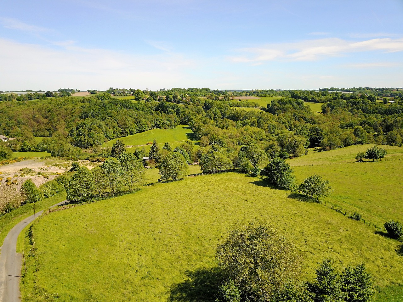 view landscape forest free photo