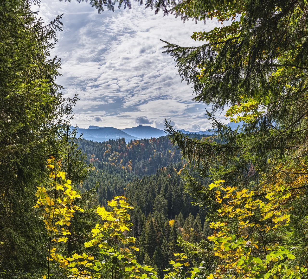 view mountains alpine free photo