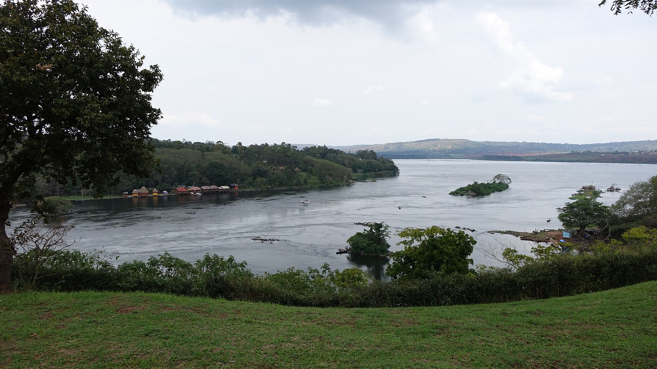 view the source of the river nile lake victoria free photo
