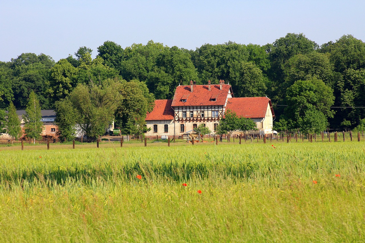 view  landscape  rural district free photo