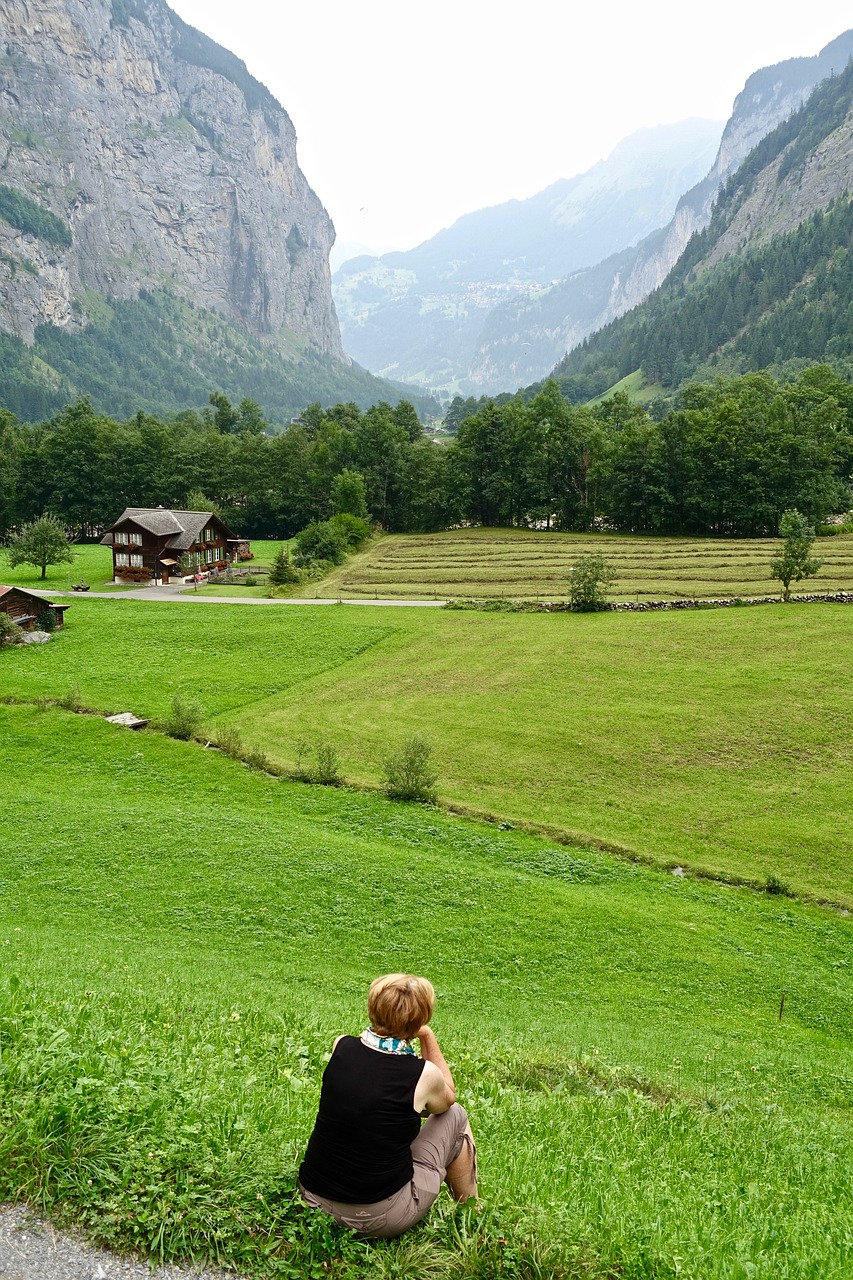 view  alps  landscape free photo