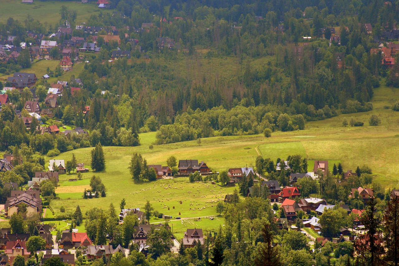 view  landscape  mountains free photo