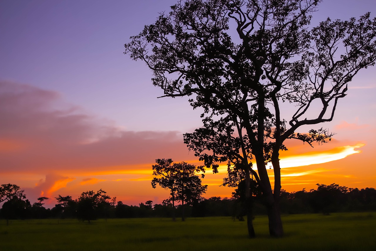 view  silhouette  evening free photo