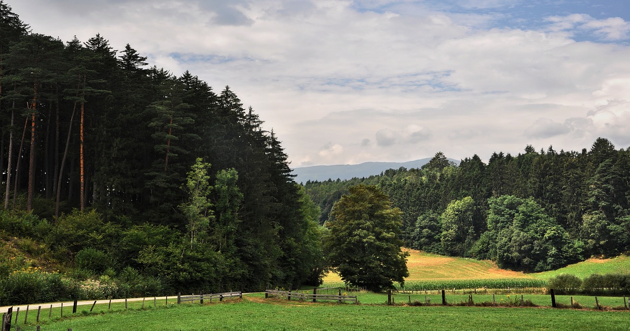 view  landscape  mountains free photo