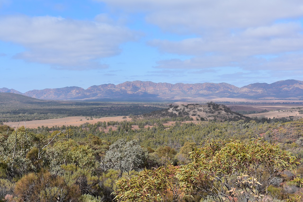 view  mountains  forest free photo