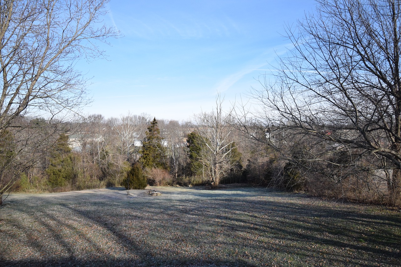 view  backyard  winter free photo