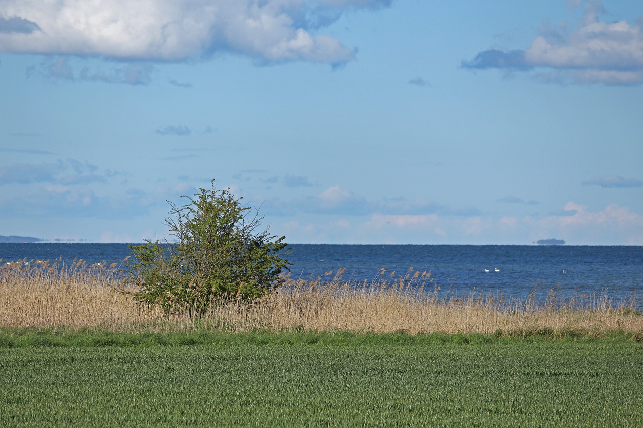 view  bodden  baltic sea free photo