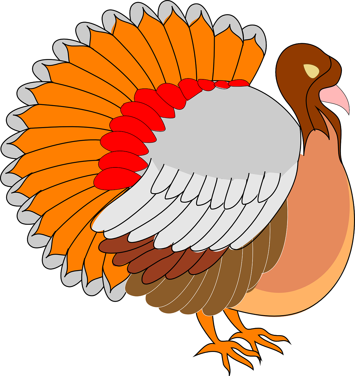 view thanksgiving turkey free photo