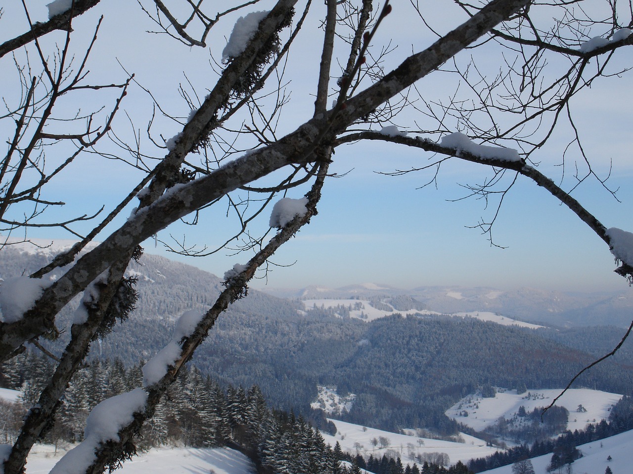 view winter nature free photo