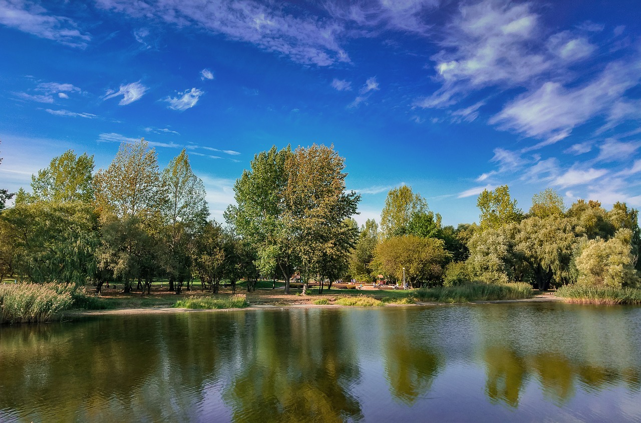 view sky clouds free photo