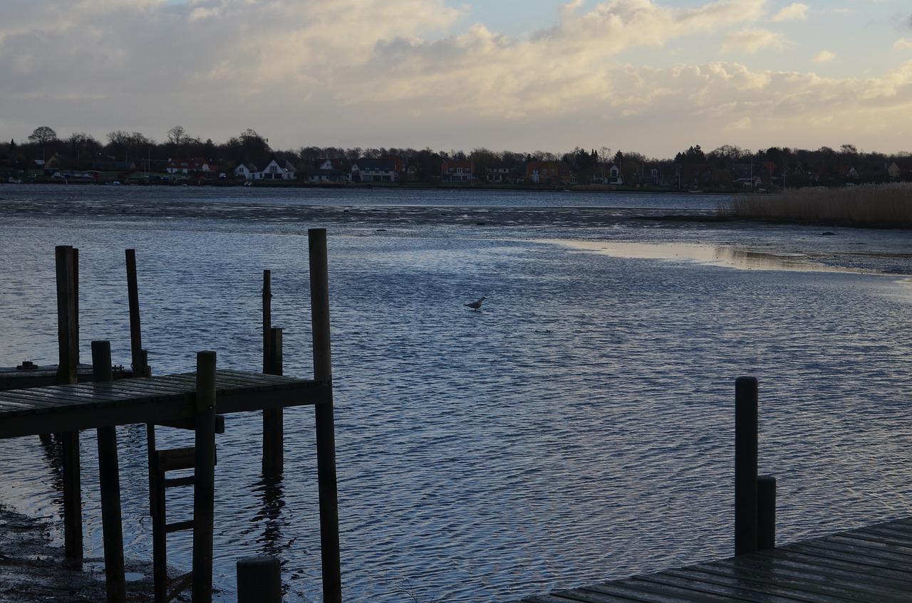 view winter sea free photo