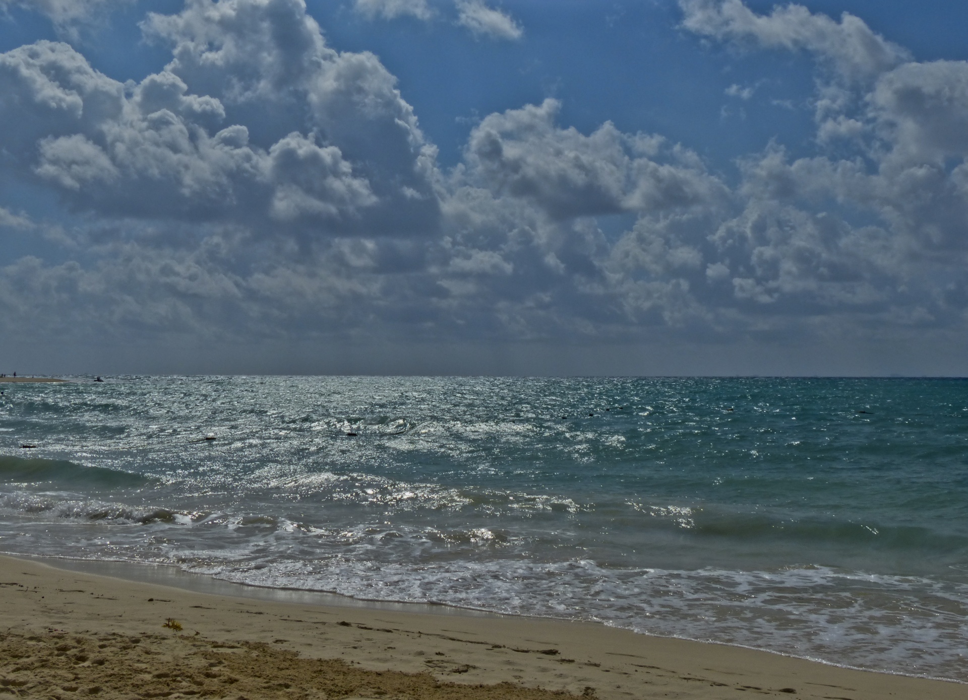 background ocean beach free photo