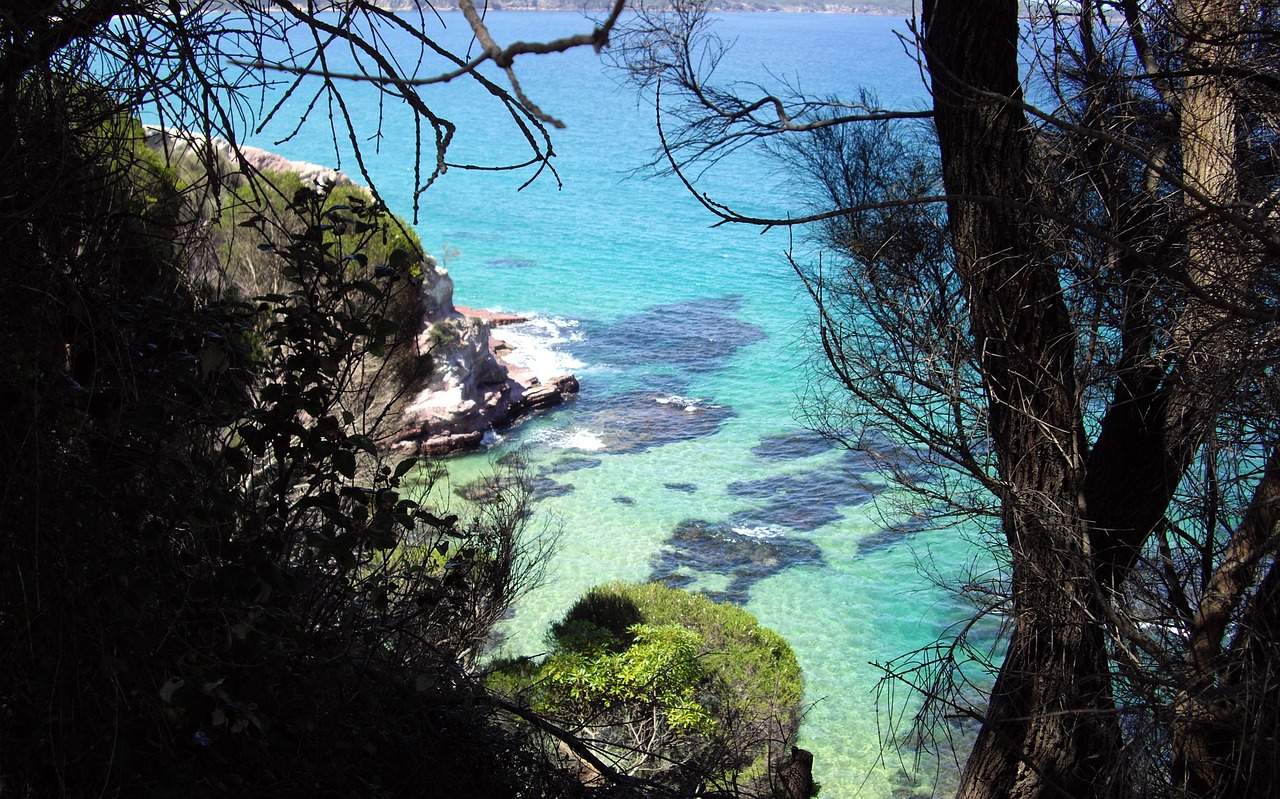 view of bay from imlay park eden nsw australia scenery free photo