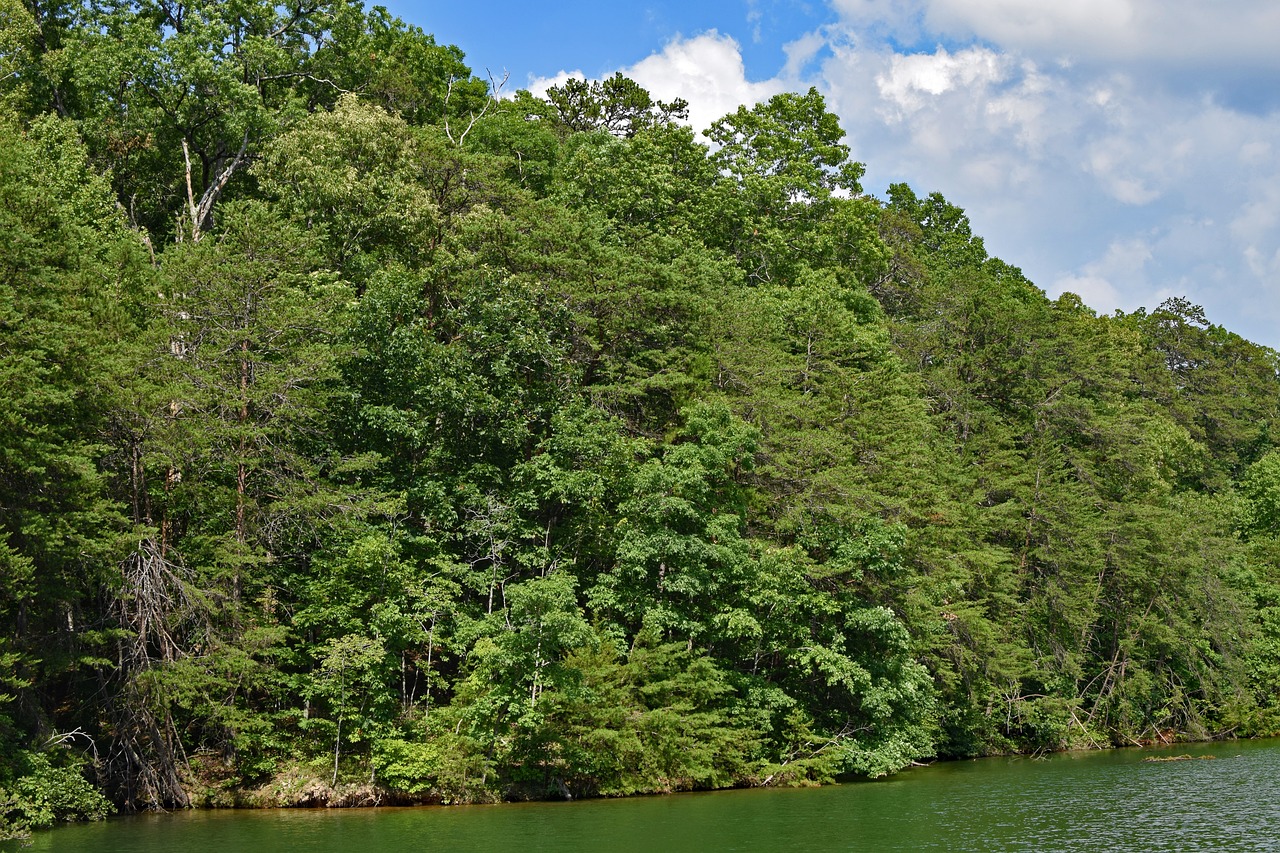 view of shore from boat tennessee river tennessee free photo
