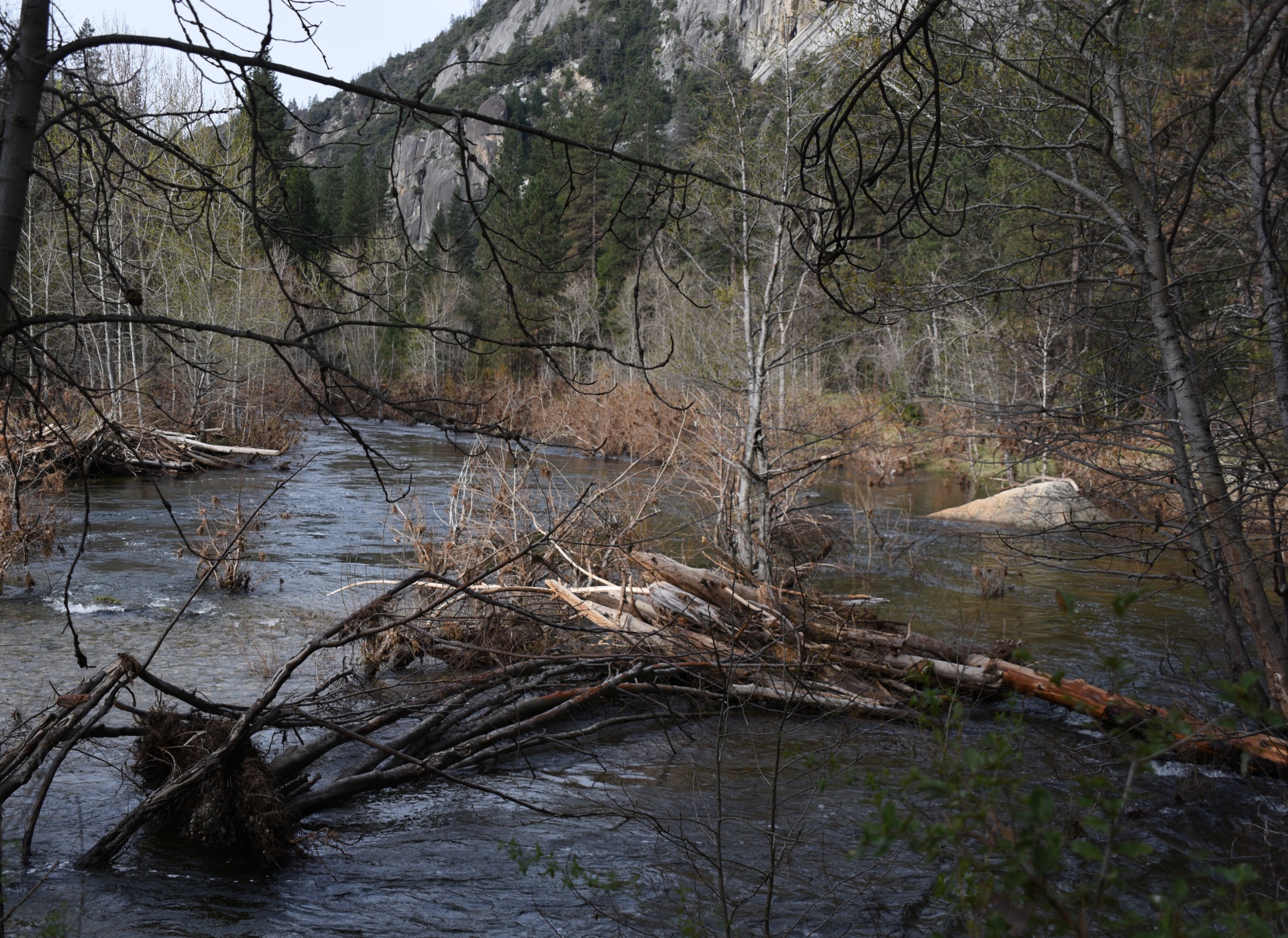 river yosemite national park scenic free photo