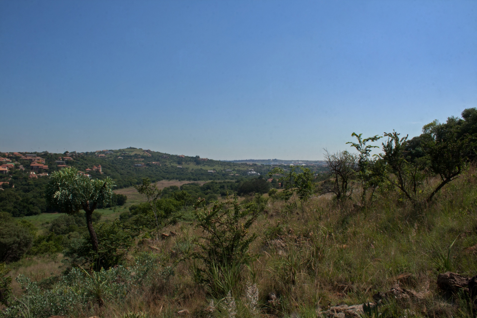 veld bakenveld biome free photo