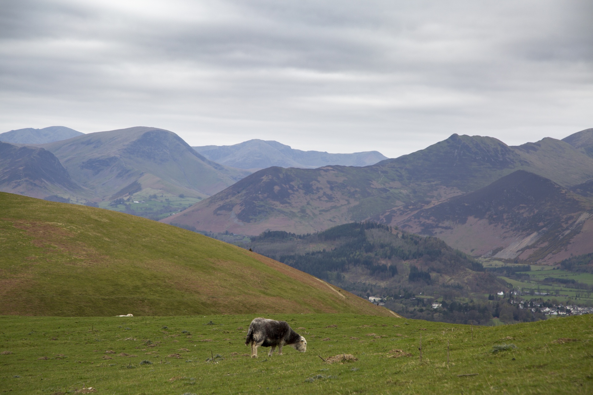 skiddaw blencathra water free photo