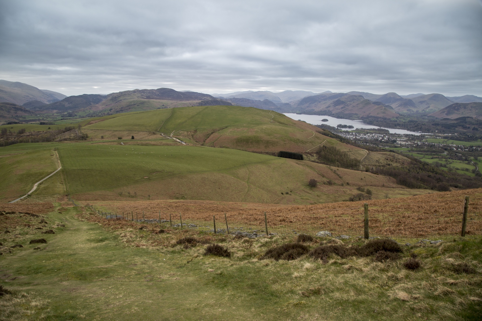 Download free photo of Skiddaw,blencathra,water,pond,trees - from ...