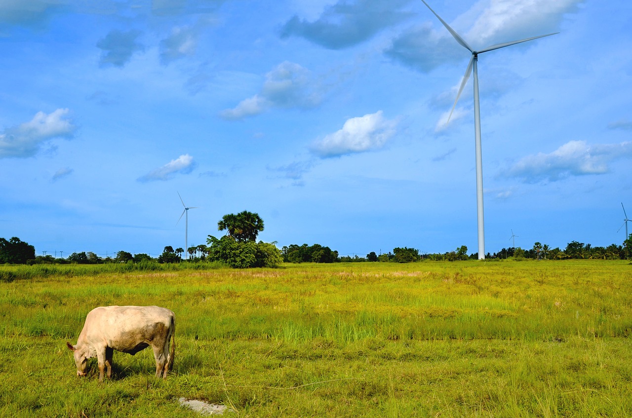 views the cow turbine free photo