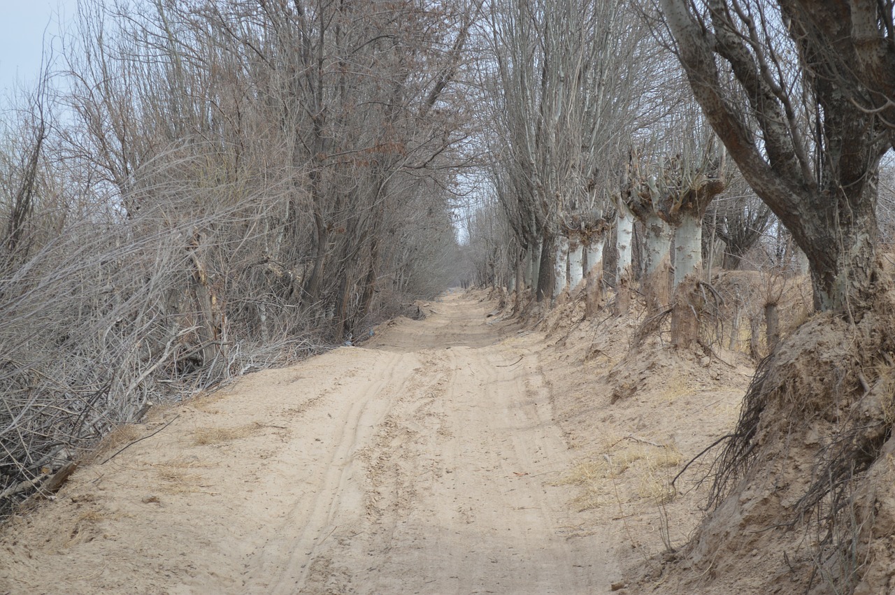 views landscape winter free photo