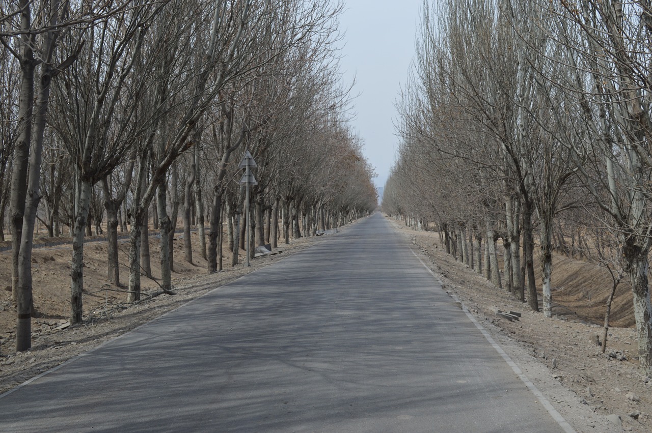 views landscape winter free photo