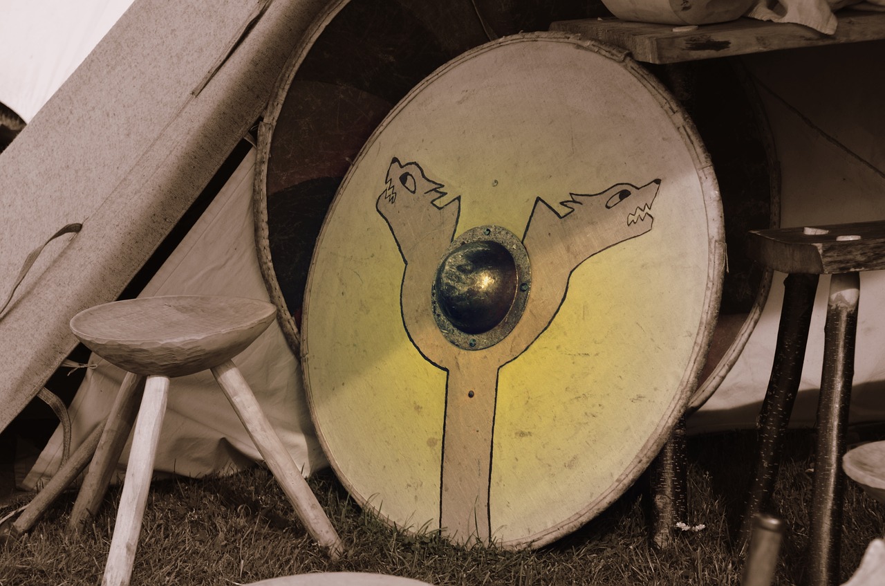viking middle ages shield free photo