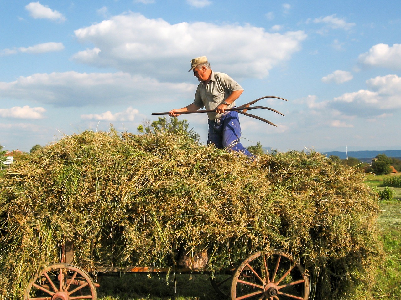 labor farmer village free photo