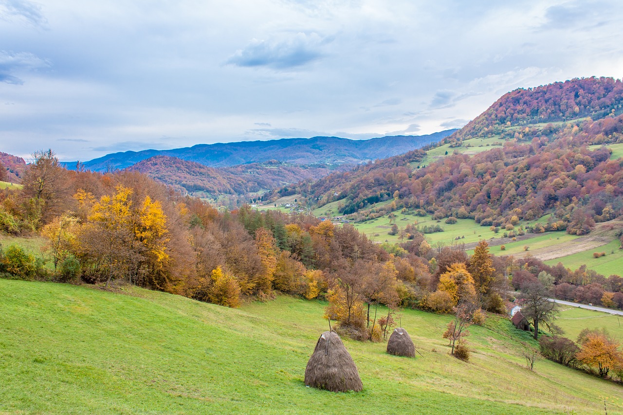 village trees autumn free photo