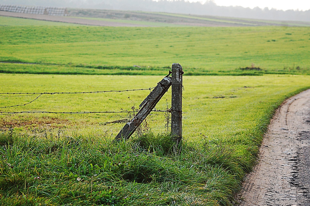 village field fields free photo