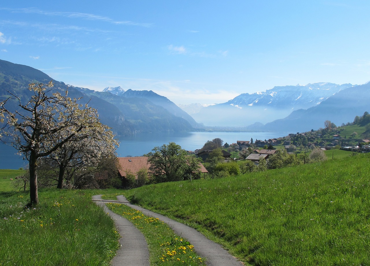 village lake view free photo