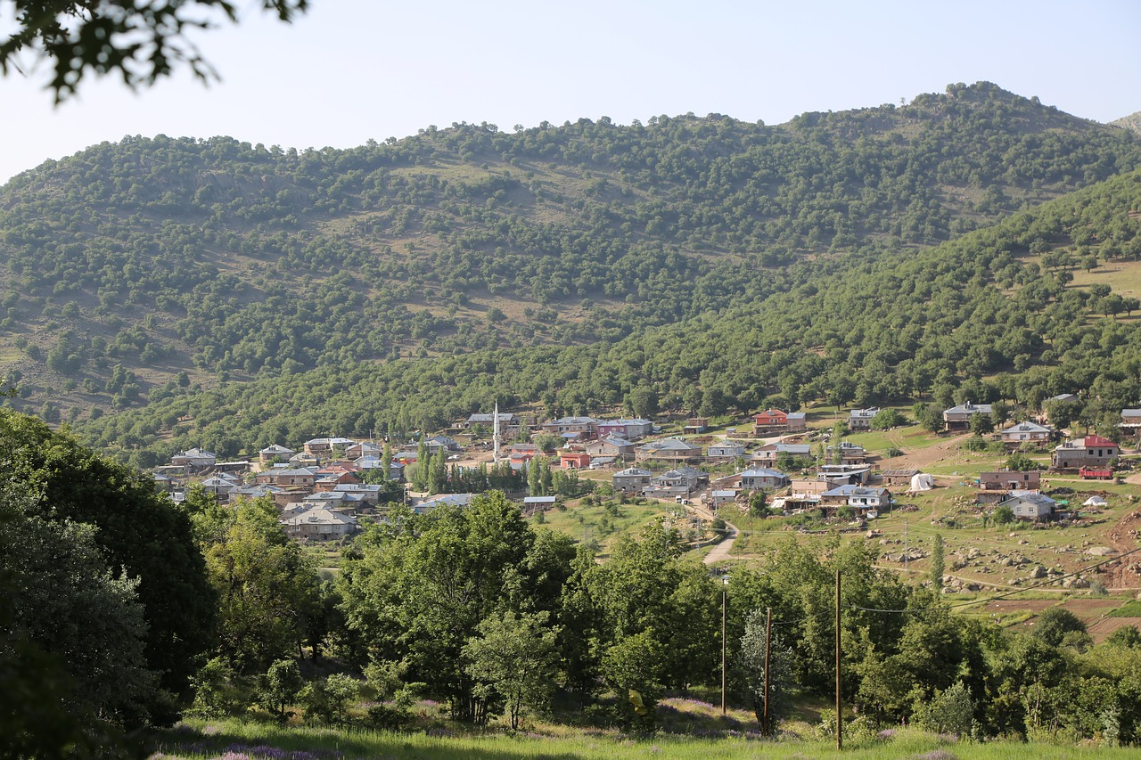 village  landscape  forest free photo