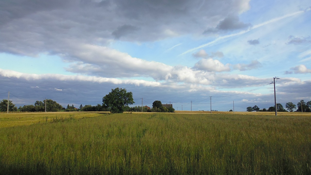 village  poland  nature free photo