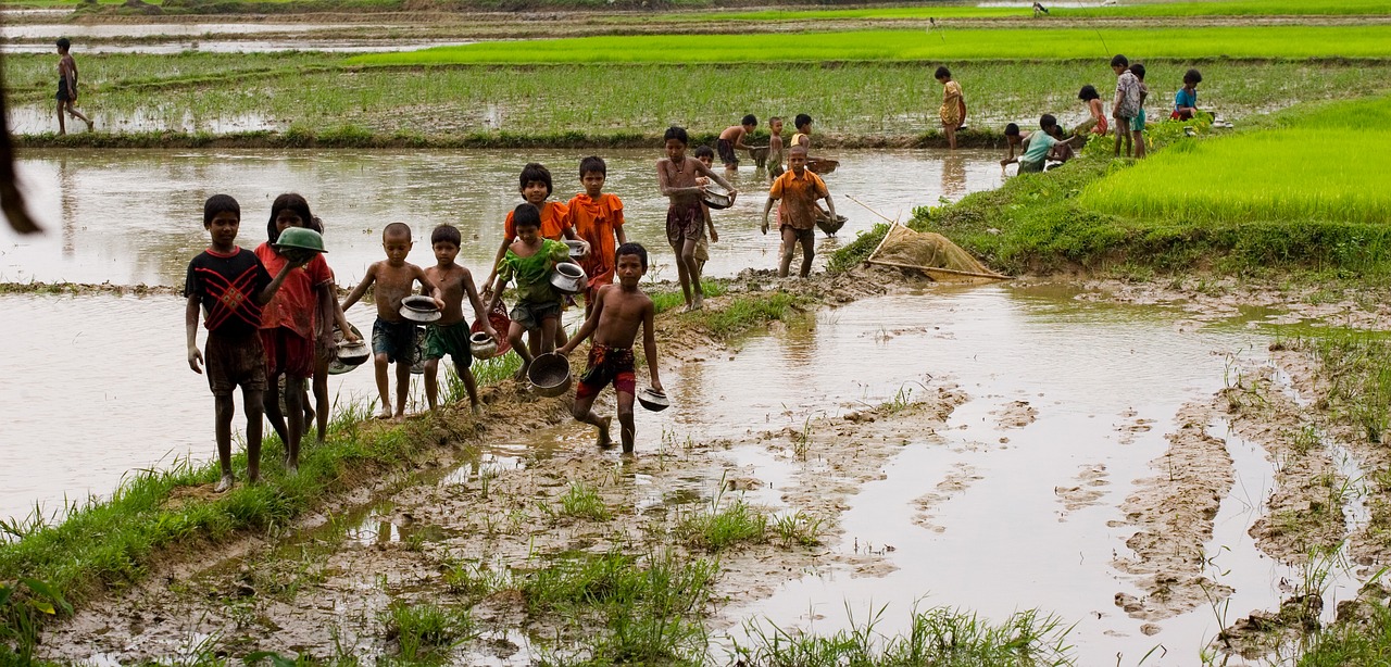 village  children  fishing free photo