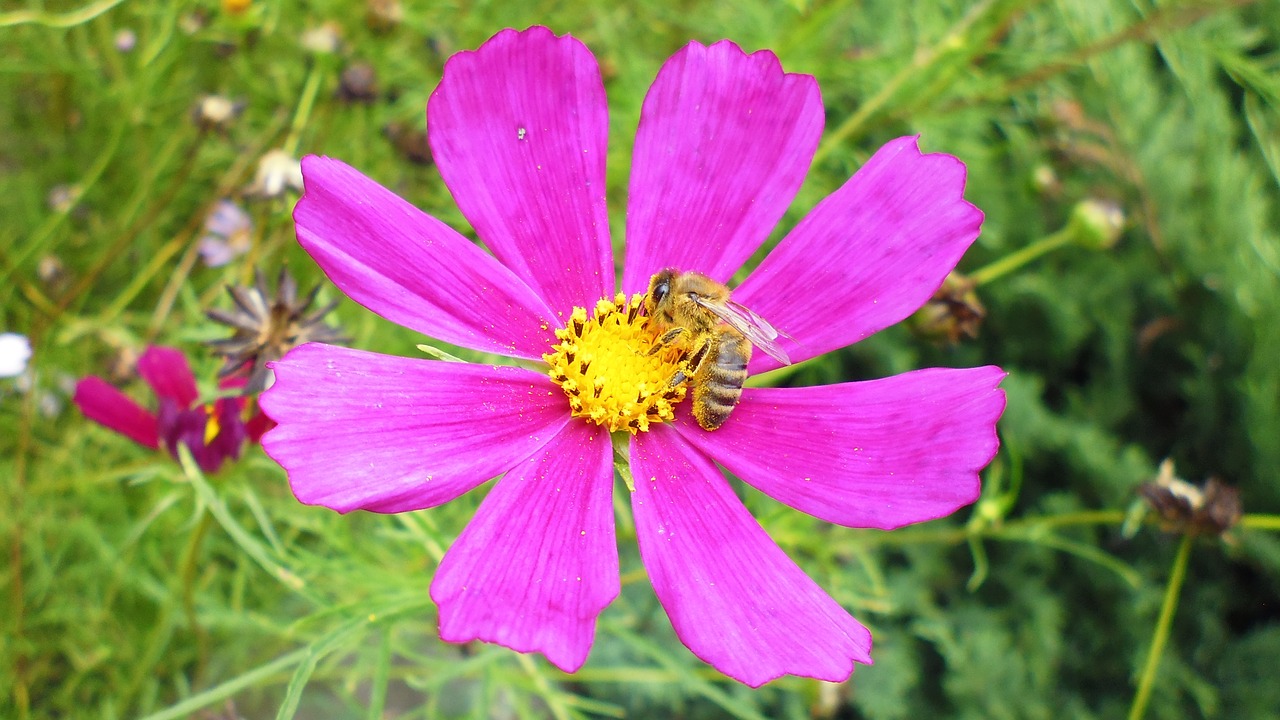 village  poland  nature free photo