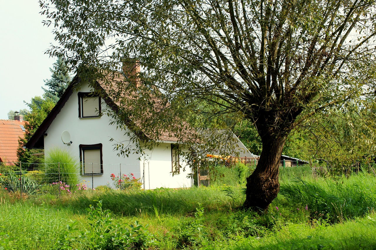 village  cottage  house free photo