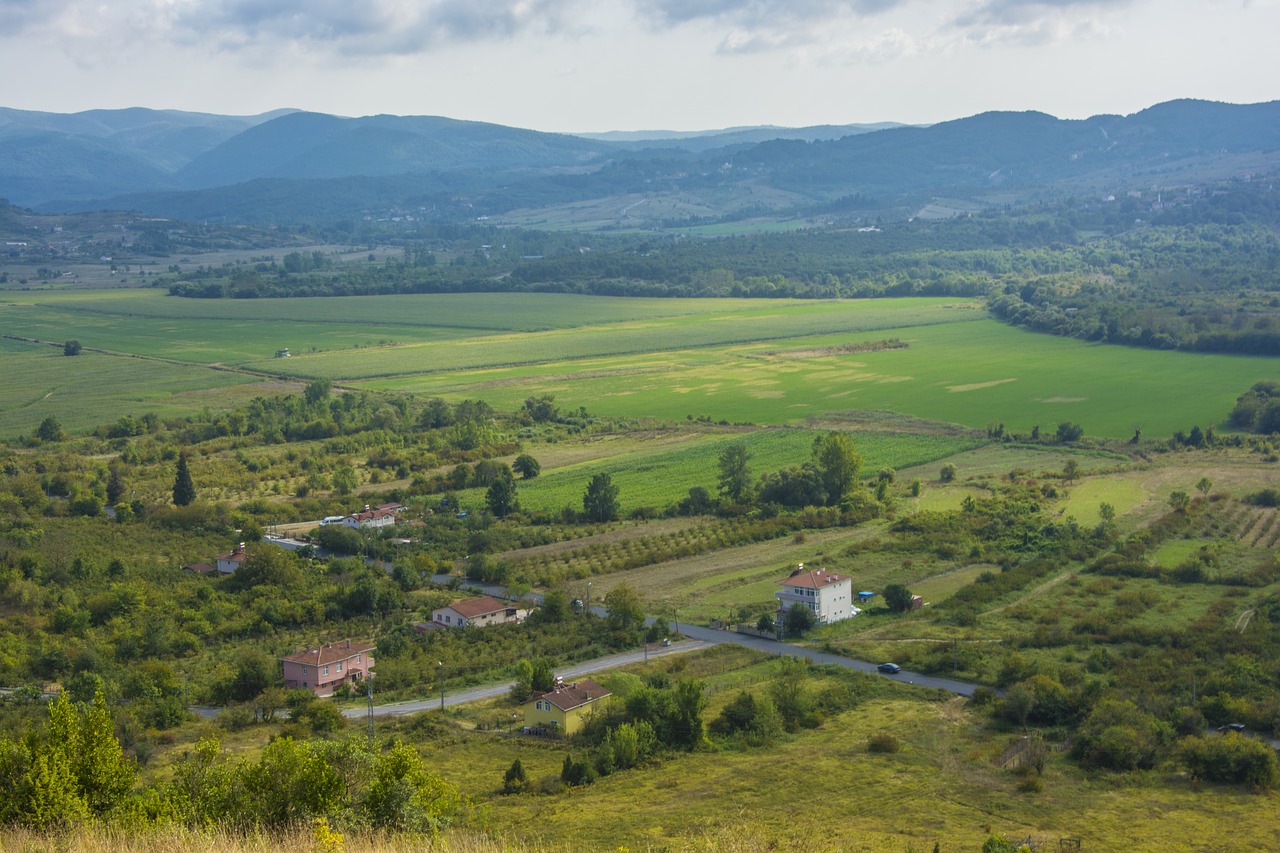 village  landscape  nature free photo