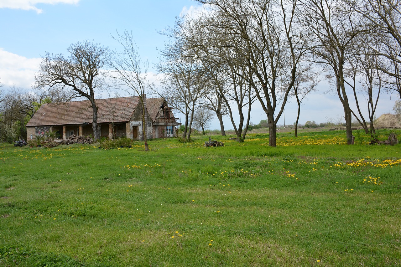 village  nature  grass free photo