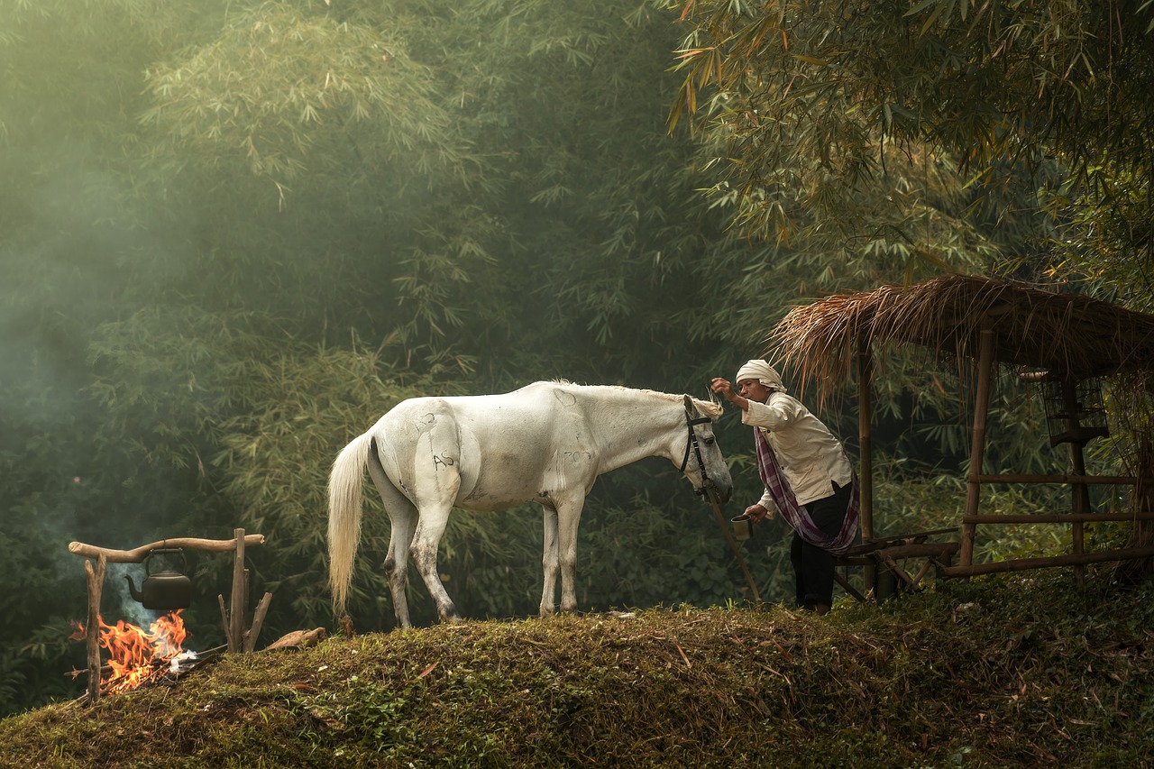 village  asian  people free photo